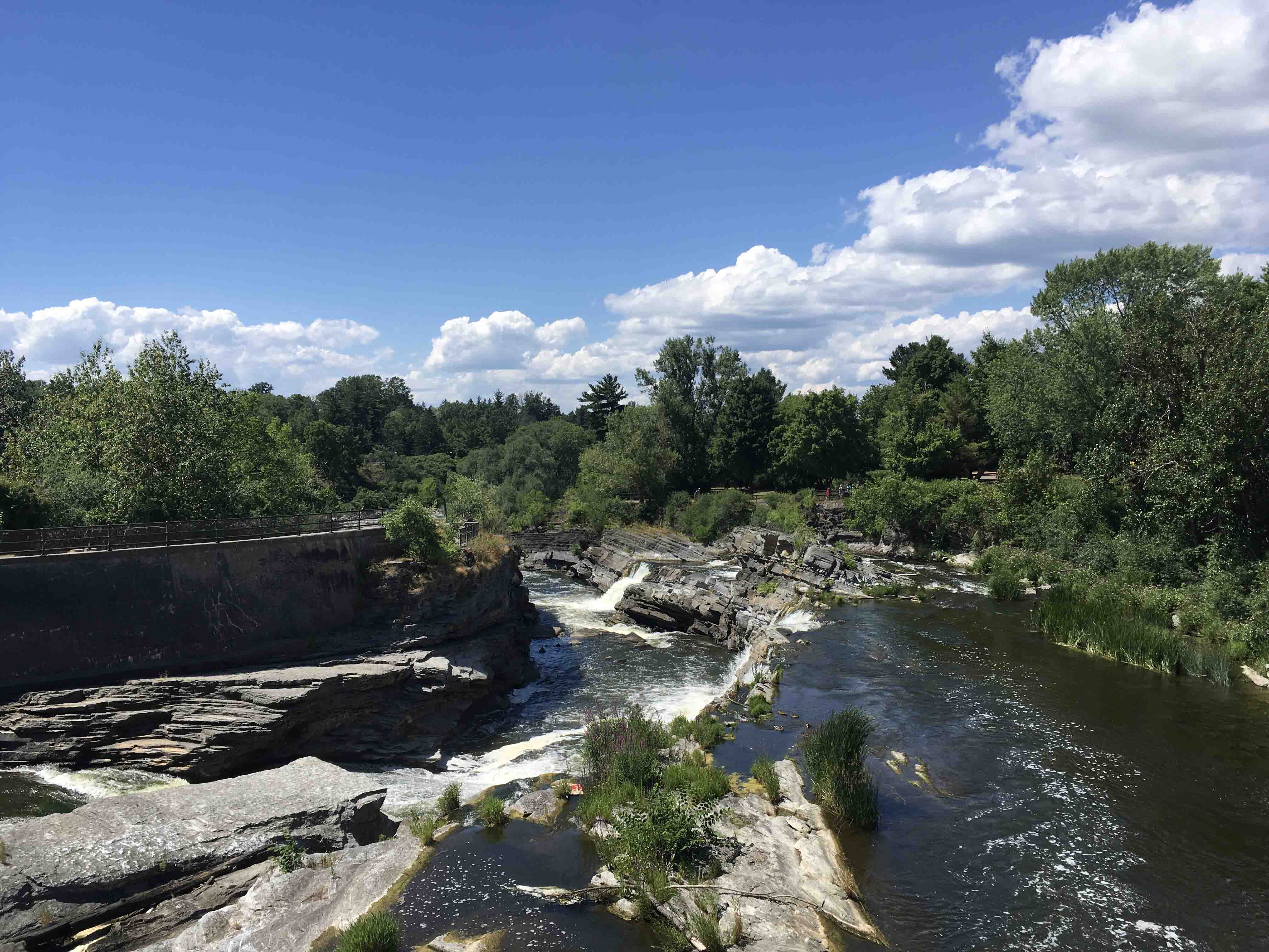 Carleton University